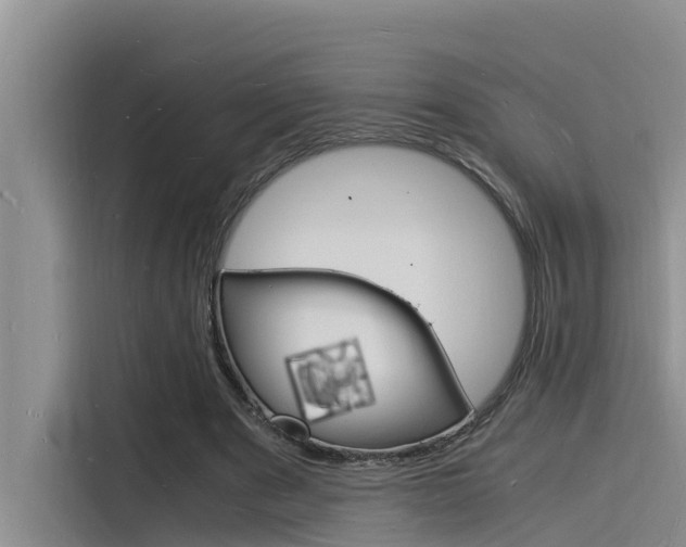 X0000115840489200911131109