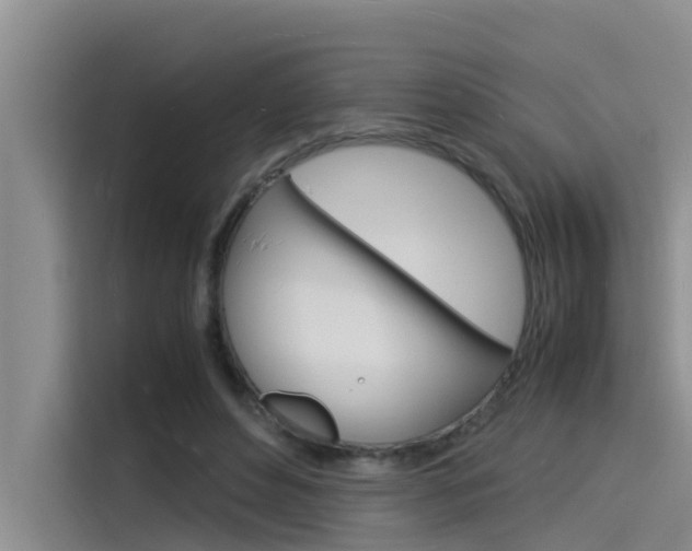 X0000115840496200911131109
