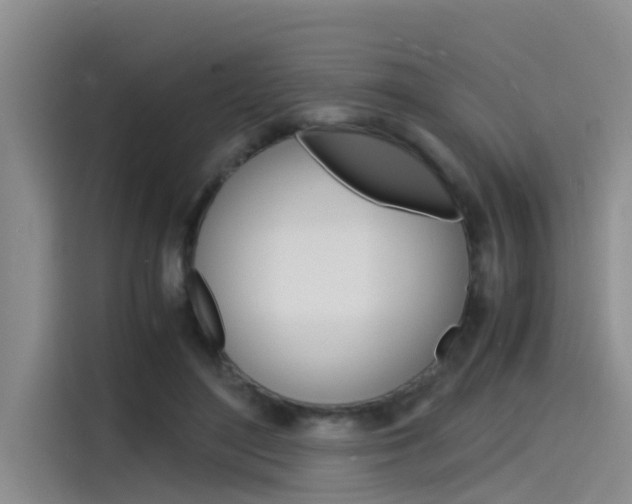 X0000115840500200911131109
