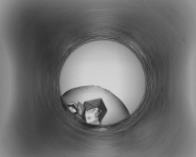 X0000115840509200911131109