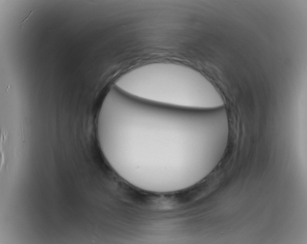 X0000115840511200911131109
