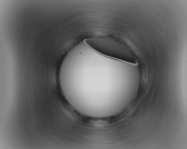 X0000115840512200911131109