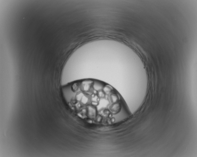 X0000115840513200911131109