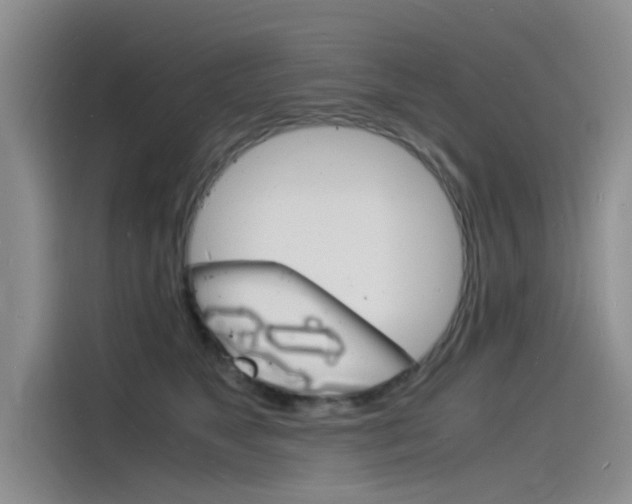 X0000115840517200911131109