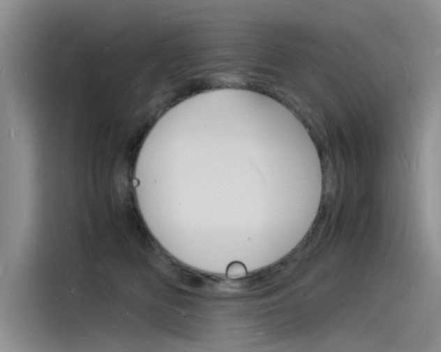 X0000115840518200911131109
