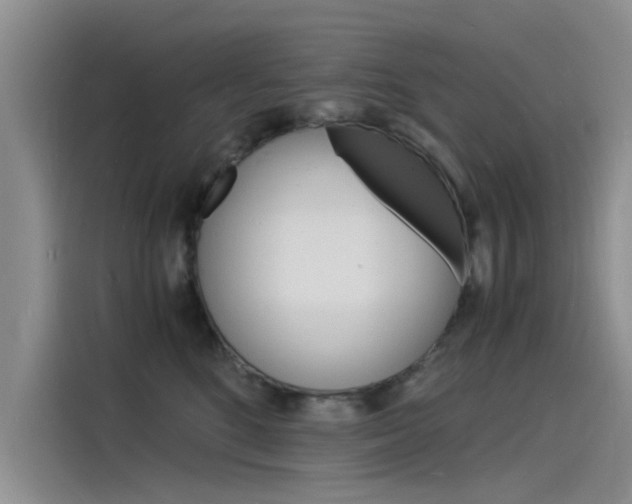 X0000115840520200911131109