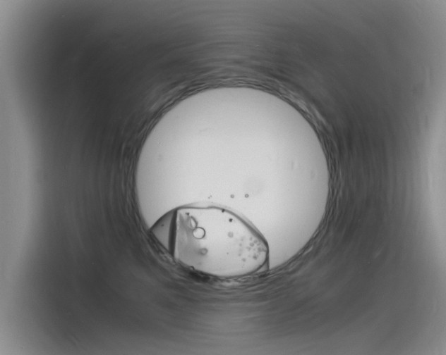 X0000115840521200911131109