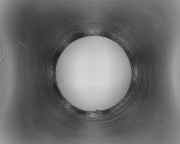 X0000115840522200911131109