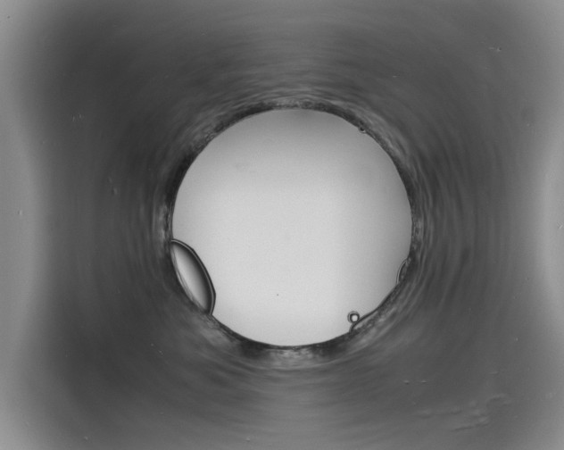 X0000115840525200911131109