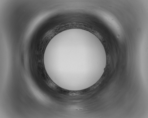 X0000115840526200911131109
