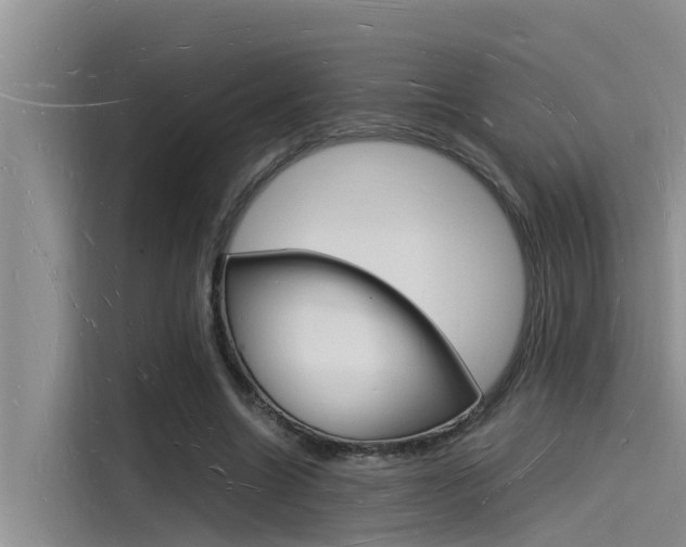 X0000115840538200911131108