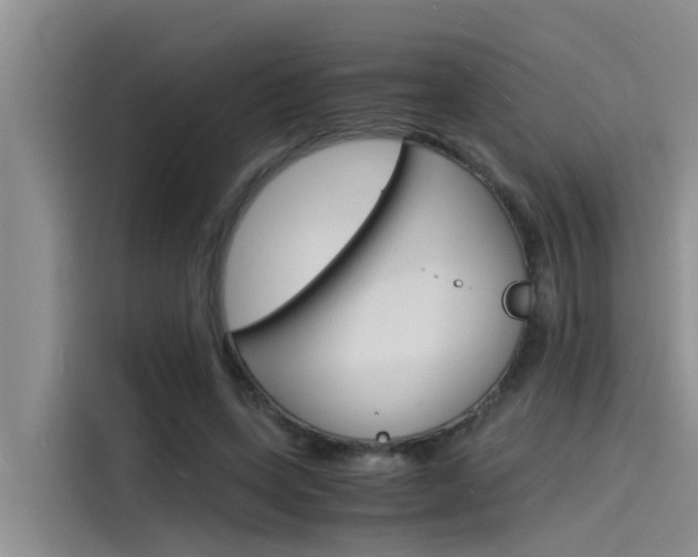 X0000115840543200911131108