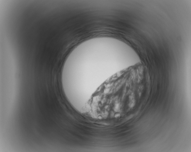 X0000115840547200911131108