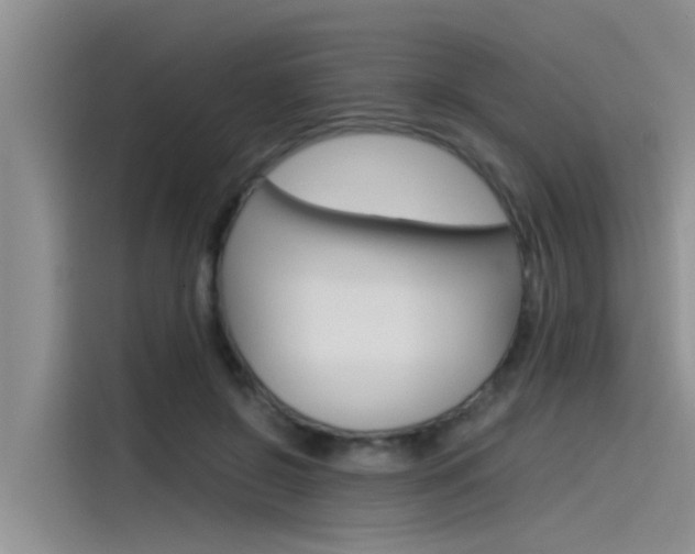 X0000115840550200911131108