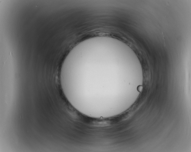 X0000115840553200911131108