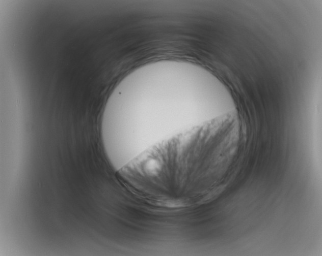 X0000115840559200911131108