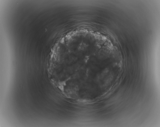 X0000115840561200911131108