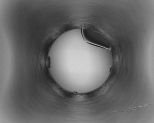 X0000115840566200911131109