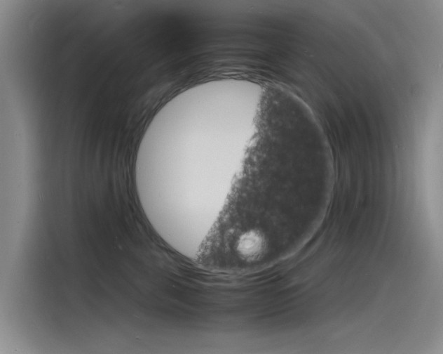 X0000115840571200911131109