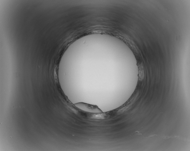 X0000115840573200911131109