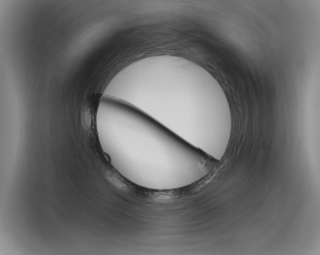 X0000115840574200911131109