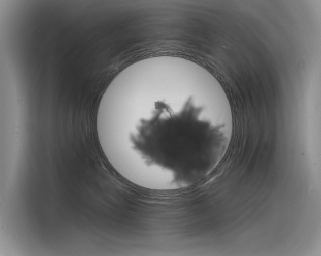 X0000115840575200911131109