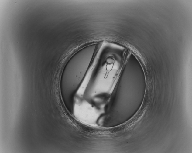 X0000115840577200911131108