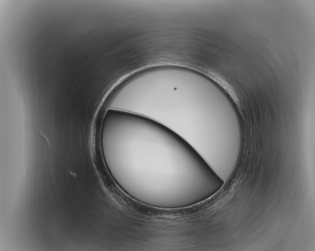 X0000115840580200911131108