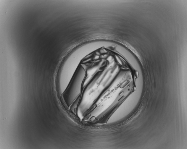X0000115840581200911131108