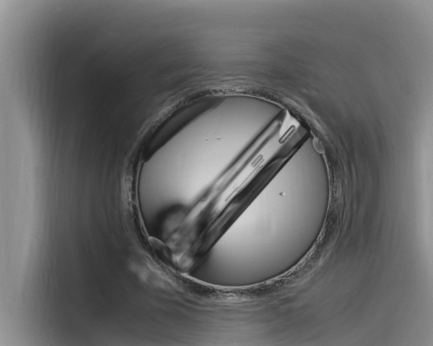 X0000115840585200911131108