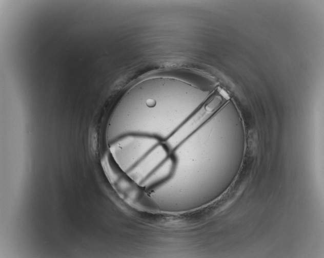 X0000115840589200911131108