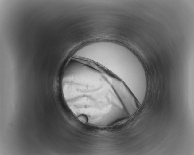 X0000115840592200911131108