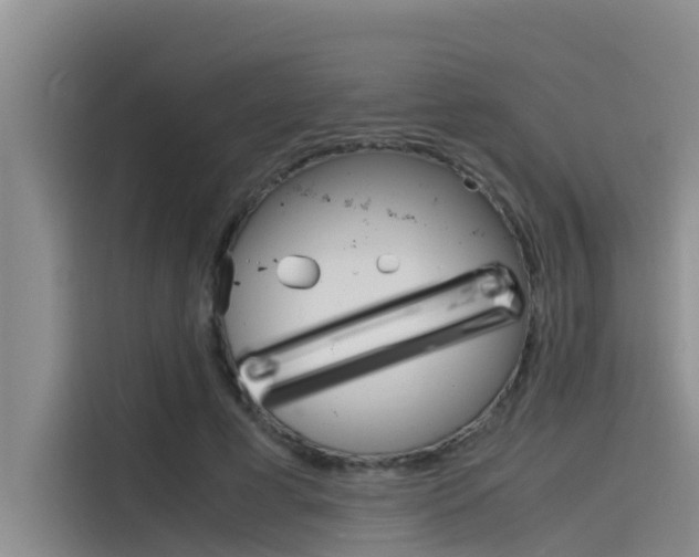 X0000115840593200911131108