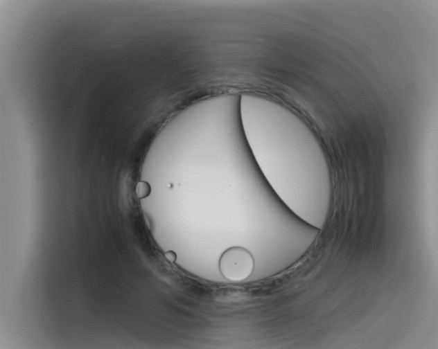 X0000115840594200911131108