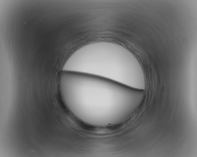 X0000115840605200911131108