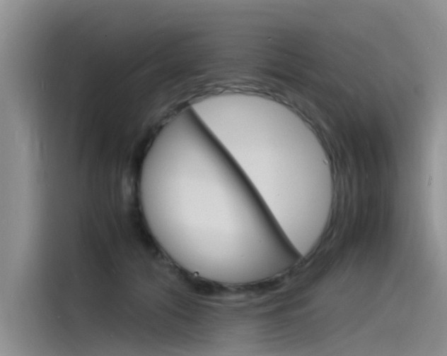 X0000115840608200911131108