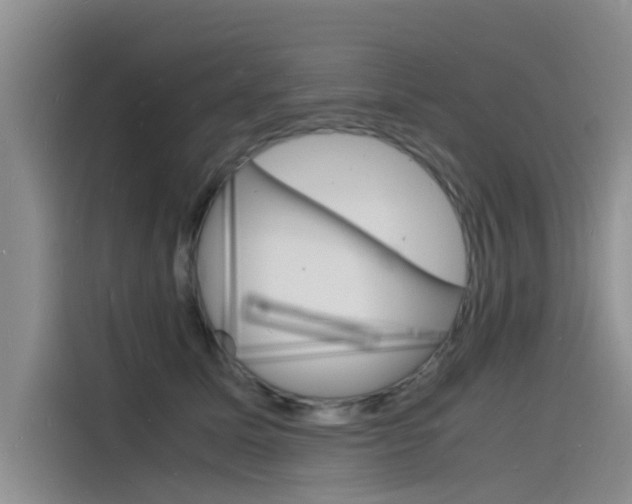 X0000115840611200911131108