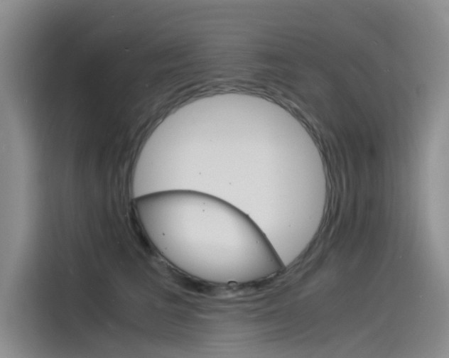 X0000115840613200911131108