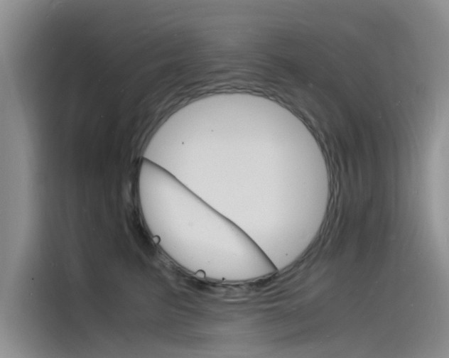 X0000115840615200911131108