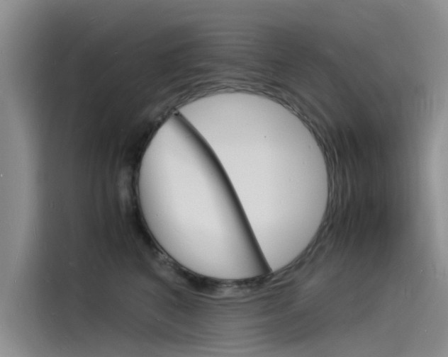 X0000115840616200911131107