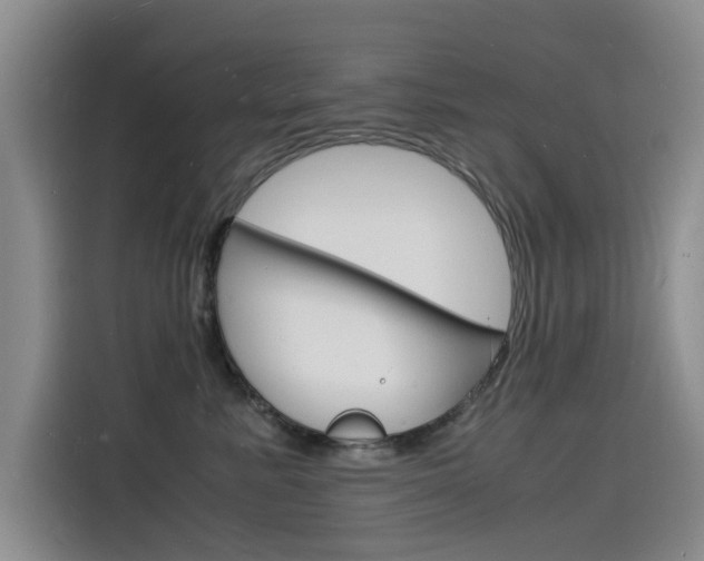 X0000115840619200911131107