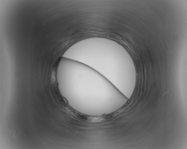 X0000115840621200911131107