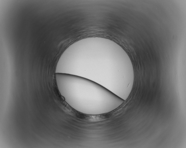 X0000115840623200911131107