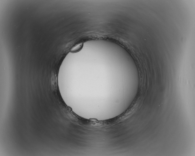X0000115840624200911131107