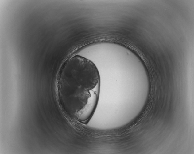 X0000115840626200911131107