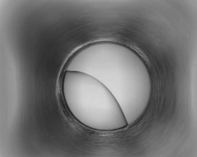 X0000115840628200911131107