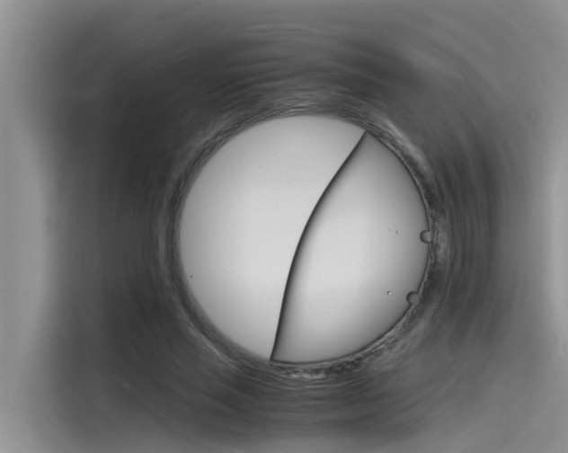 X0000115840637200911131107