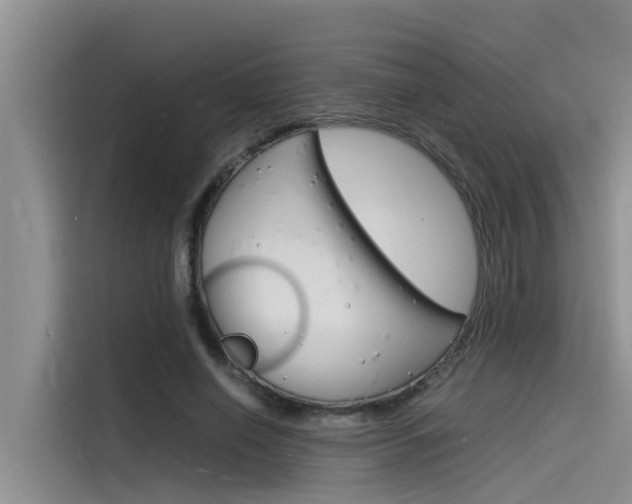 X0000115840638200911131107