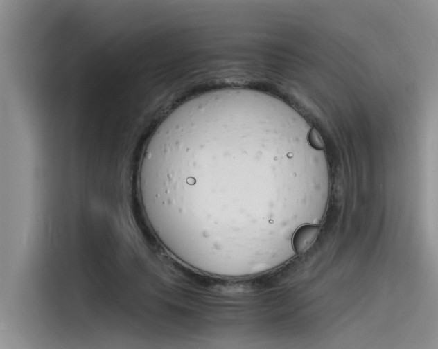 X0000115840639200911131107