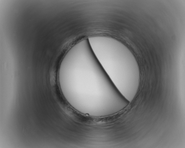 X0000115840640200911131107